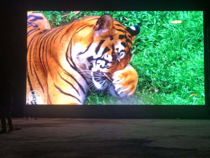 赤壁市三國(guó)小學(xué)-戶外P5-55.7㎡